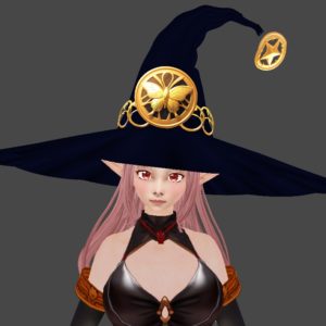 witch hat 1